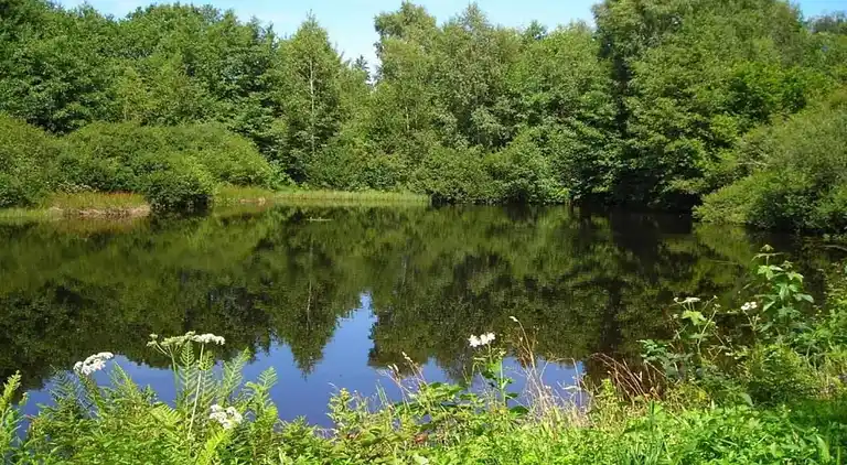 Holiday home in Faucogney-et-la-Mer