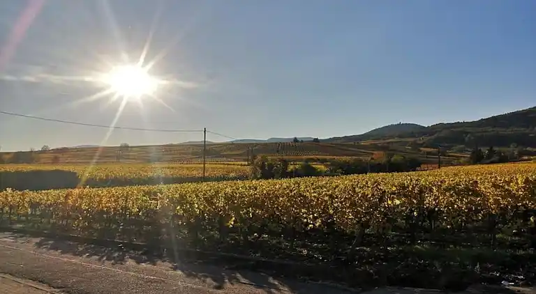 Ferielejlighed i Bergheim