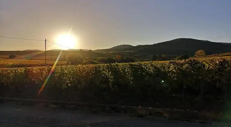 Ferielejlighed i Bergheim