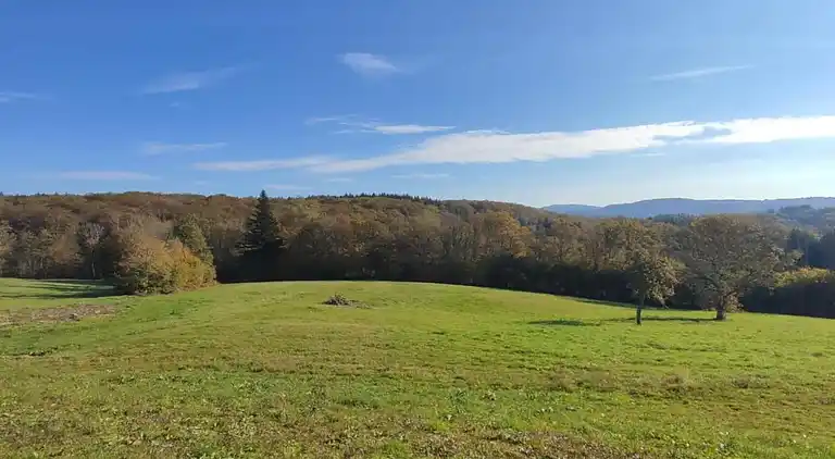 Holiday home in Faucogney-et-la-Mer