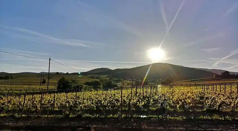 Ferielejlighed i Bergheim