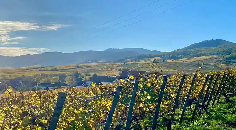 Ferielejlighed i Bergheim