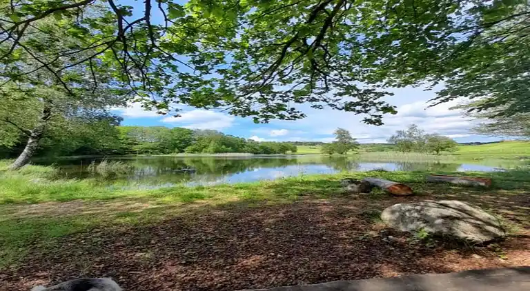 Holiday home in Faucogney-et-la-Mer