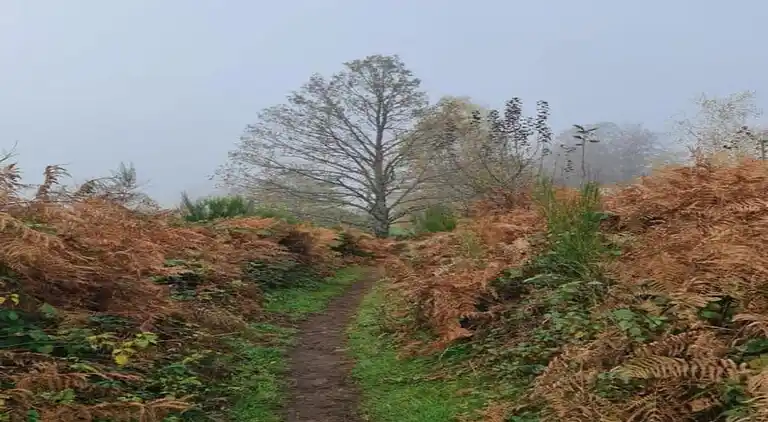 Holiday home in Faucogney-et-la-Mer