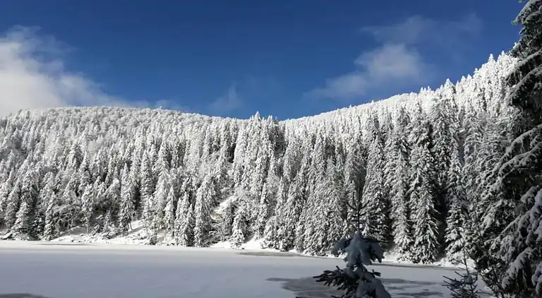 Apartment in Bergheim