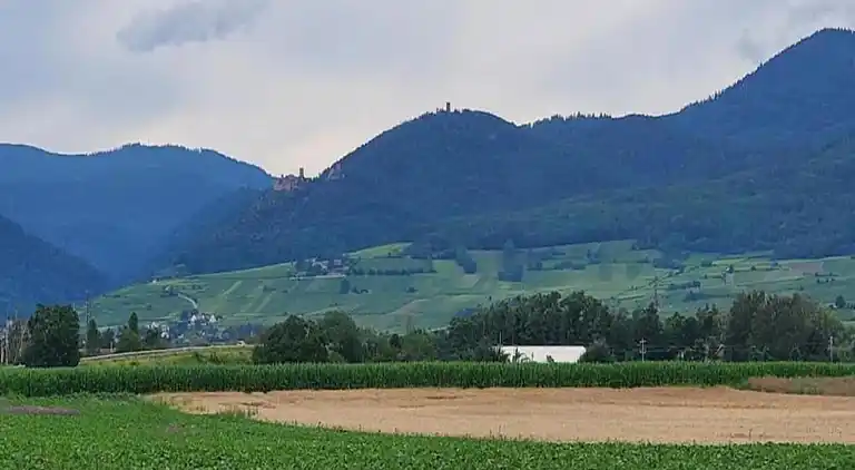 Apartment in Bergheim