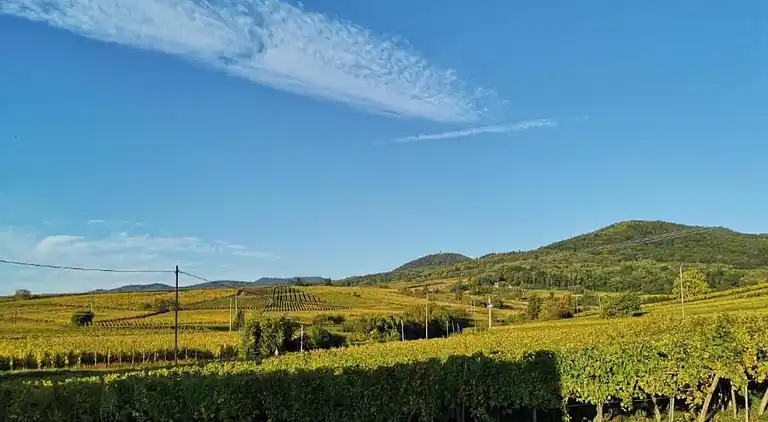 Ferielejlighed i Bergheim