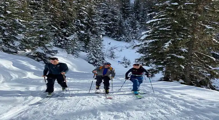 Apartment in Bourg-Saint-Maurice