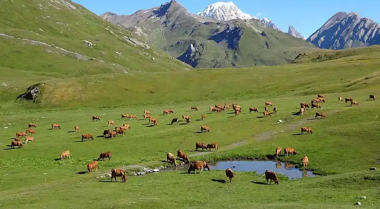 Ferielejlighed i Bourg-Saint-Maurice