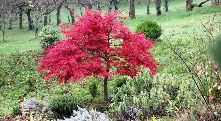 Villa in Pont-de-Larn