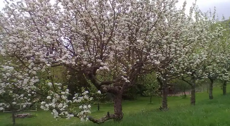Villa in Pont-de-Larn