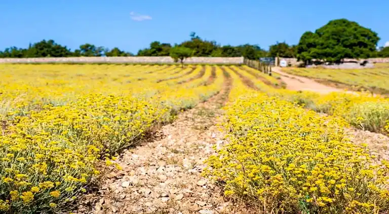 Ferienwohnung in Omišalj