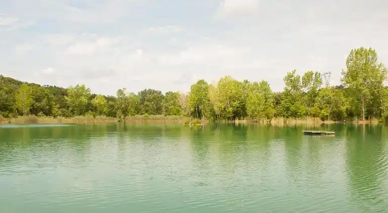 Holiday home in Donoratico