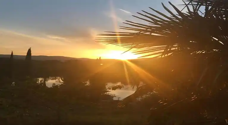 Holiday home in Donoratico