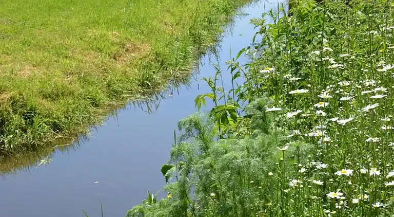 Sommerhus i Vencimont