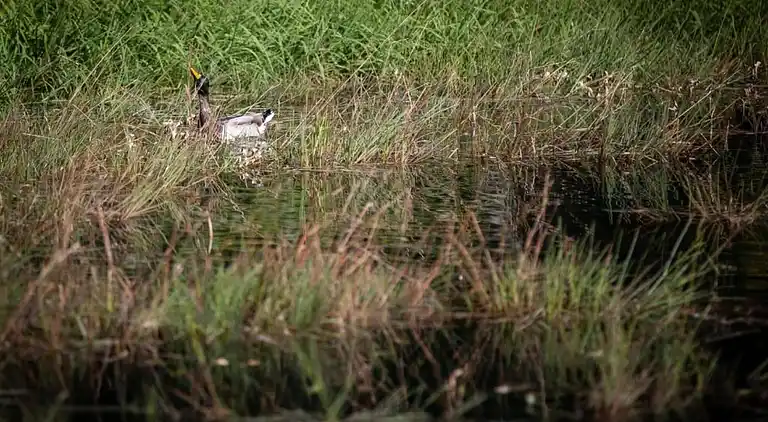 Sommerhus i Vencimont
