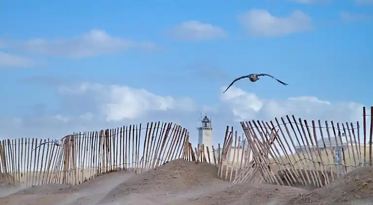 Sommerhus i Zuid-Holland