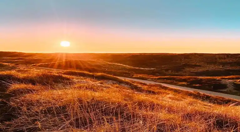 Sommerhus i Zuid-Holland