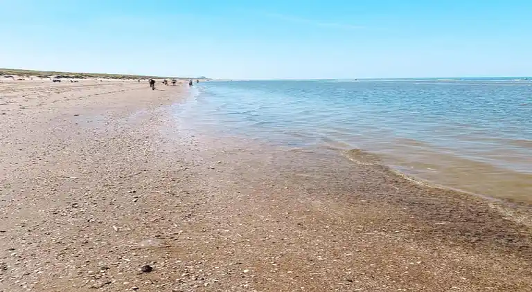 Sommerhus i Zuid-Holland