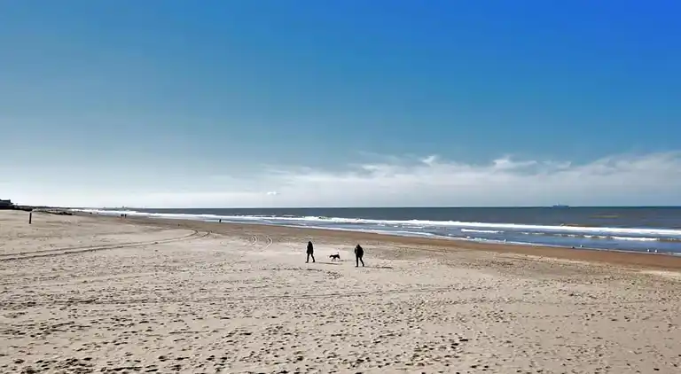 Sommerhus i Zuid-Holland