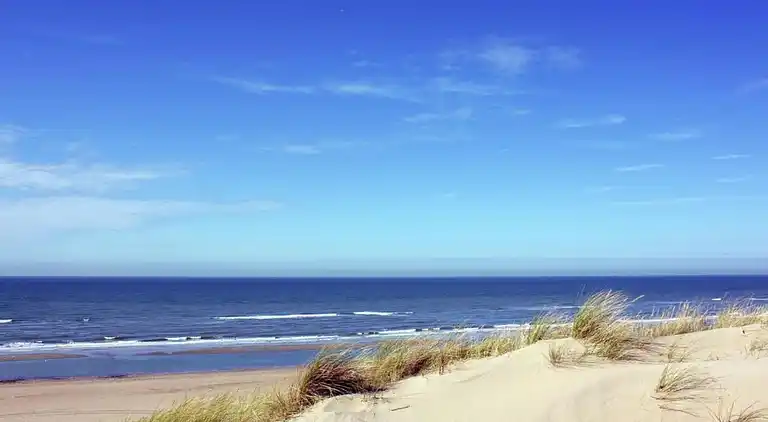 Sommerhus i Zuid-Holland