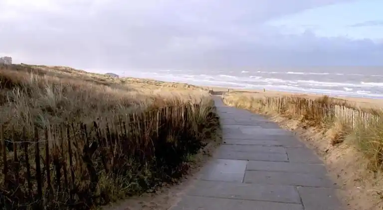 Sommerhus i Zuid-Holland