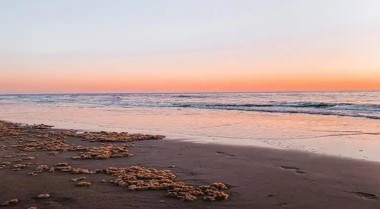 Sommerhus i Zuid-Holland