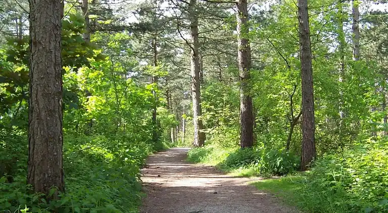 Sommerhus i Zuid-Holland