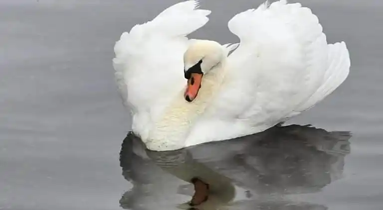 Ferielejlighed i Scheveningen