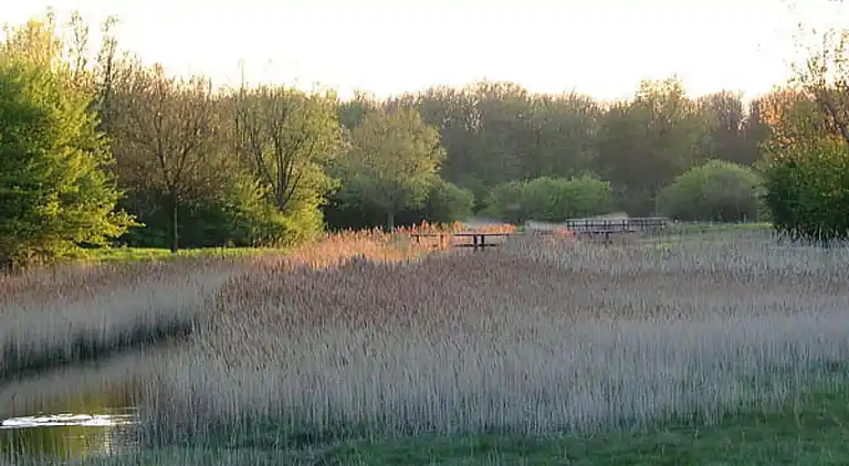 Vakantiehuis in Vlissingen