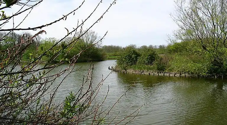 Vakantiehuis in Vlissingen