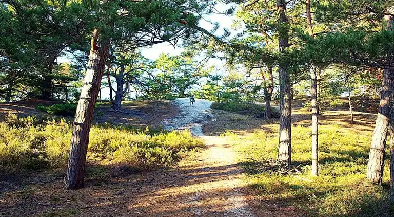 Sommerhus i Kopalino