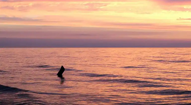 Sommerhus i Kopalino