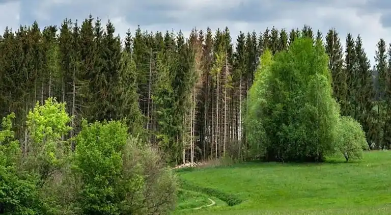 Apartment in Northern Germany