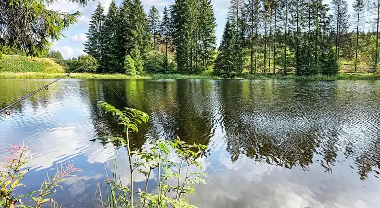 Apartment in Northern Germany