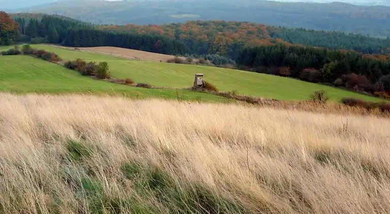Apartment in Höxter