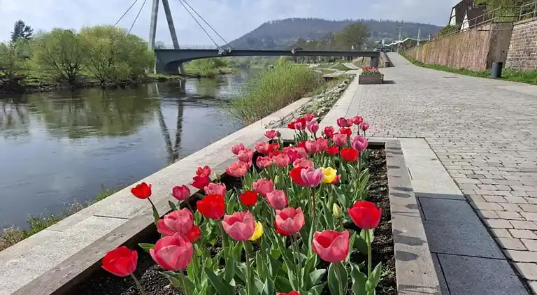 Apartment in Höxter