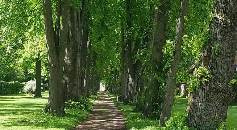Apartment in Höxter