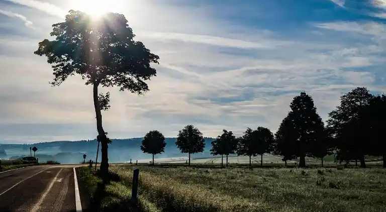 Ferielejlighed i Dingdorf