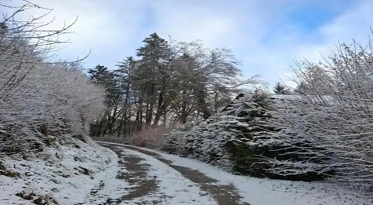 Ferielejlighed i Dingdorf