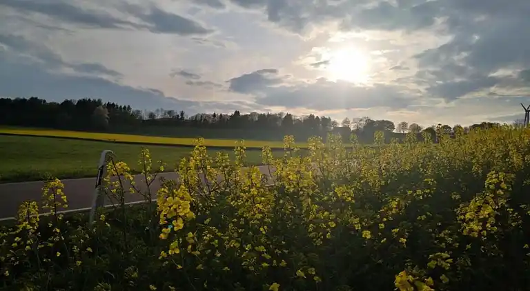 Ferielejlighed i Dingdorf