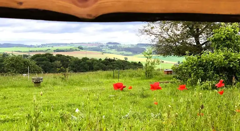 Ferielejlighed i Dingdorf