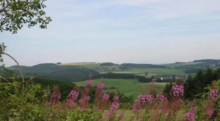 Ferielejlighed i Dingdorf