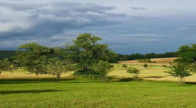 Ferielejlighed i Dingdorf