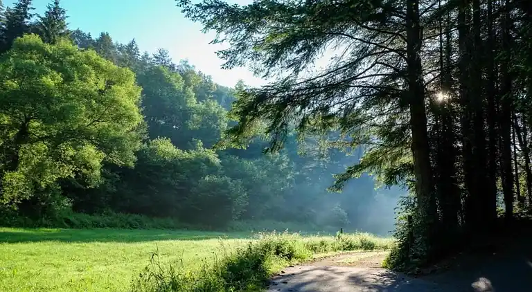 Ferielejlighed i Dingdorf