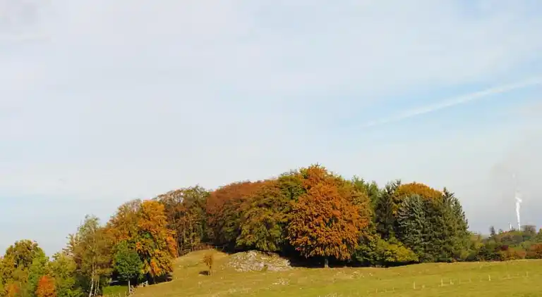 Ferielejlighed i Madfeld