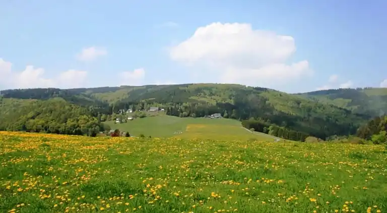 Apartment in Madfeld