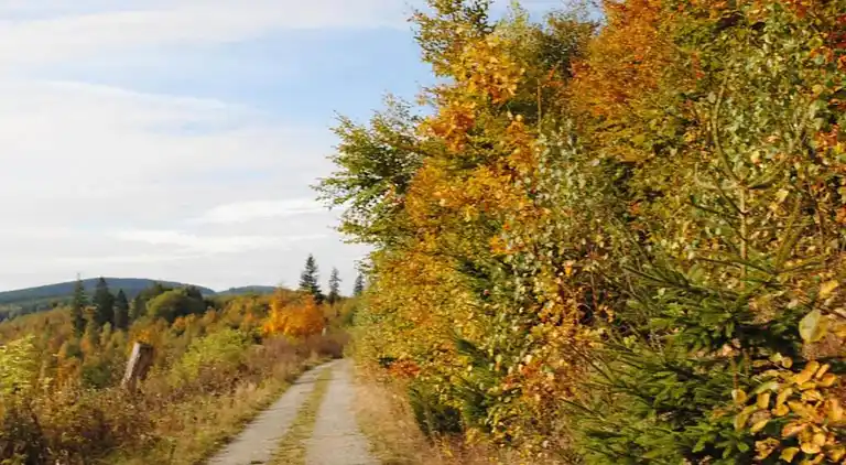 Apartment in Madfeld