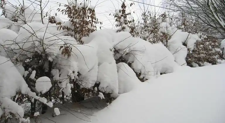 Apartment in Madfeld