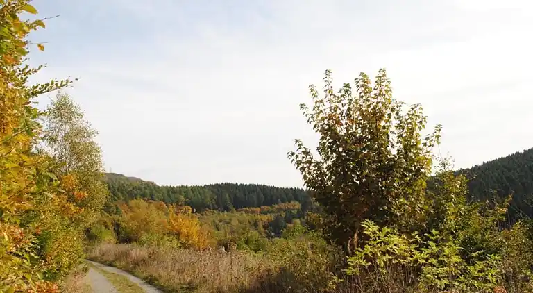 Ferielejlighed i Madfeld